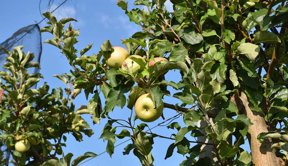 Izobrazbe o sigurnom rukovanju i pravilnoj primjeni pesticida