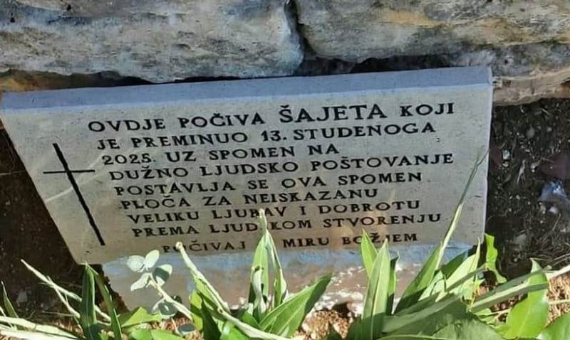 MISLILI STE DA STE VIDJELI SVE? U Komiži mačak dobio spomen-ploču, provjerili smo je li to uopće uobičajeno u svijetu